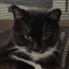 meowmao95
