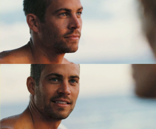 myboyfantasy:  Paul Walker 