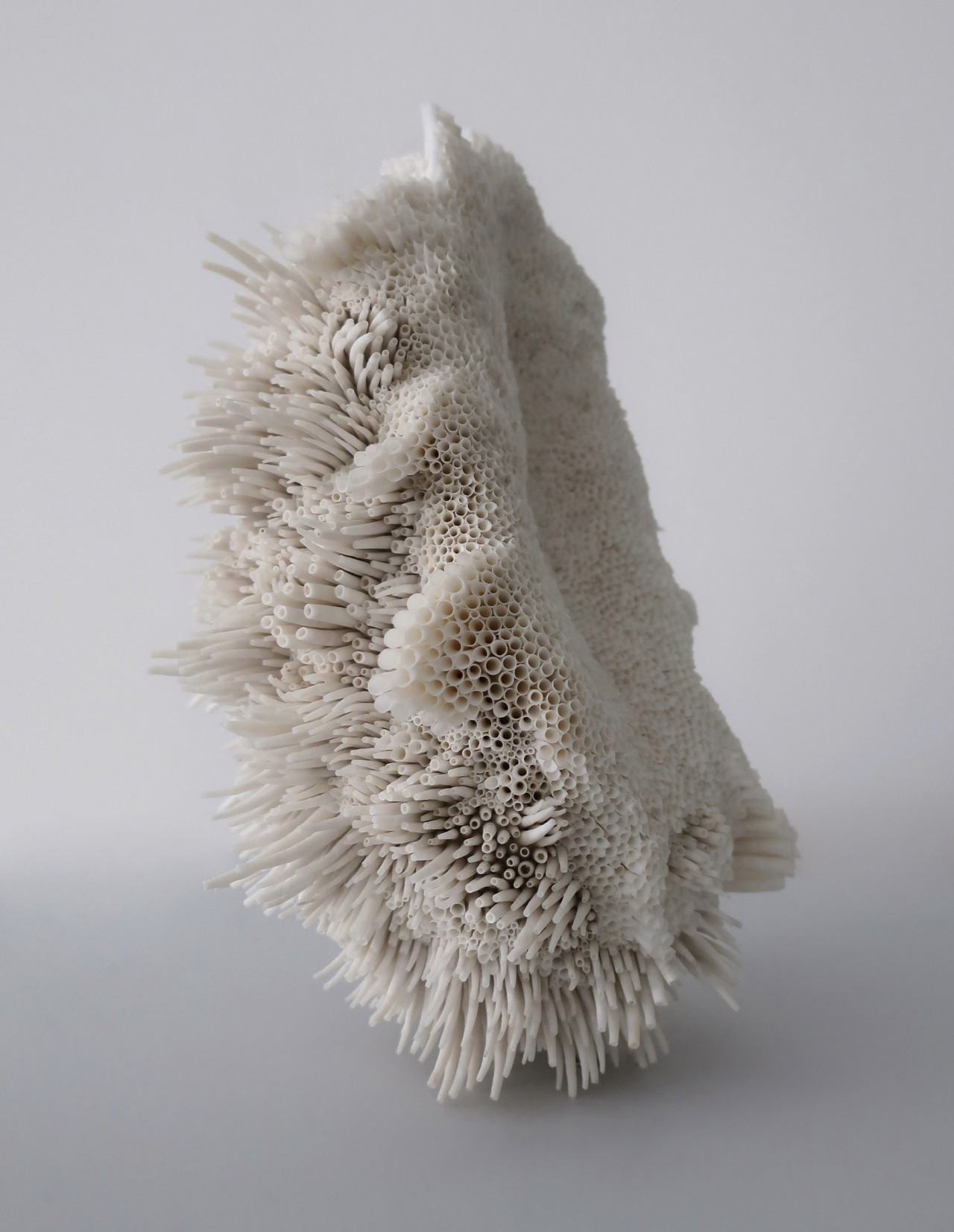 itscolossal:  New Textural Sculptures Made With Swirls of Seashells by Rowan Mersh