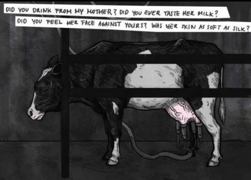 Stop the pain and sorrow. Go vegan.