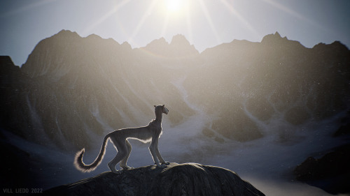 villiedoom: /Touch of the light/A simple 3D scene about a lonely vaeraf wandering in the mountains.B