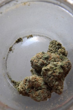 nervous-princess:  weed is so beautiful 