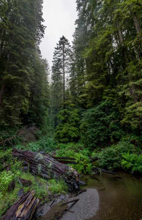 oh-haroo:  Follow me for more vertical nature and landscape!  drsnglr