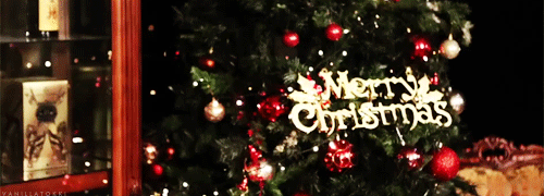 vanillatokki:  Merry Christmas     