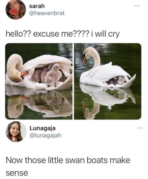 sillylittleclownsblog - Uuuuunnnntitled