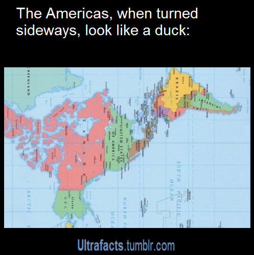 ultrafacts:  For more posts like this, Follow Ultrafacts 