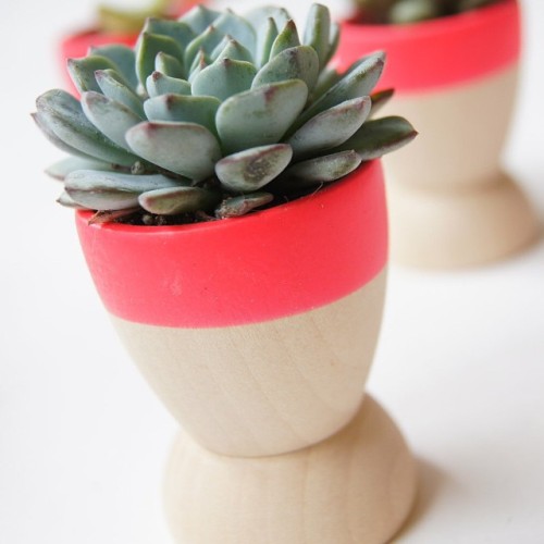 Adorable Mini Planters perfect for your indoor garden by @windwillowhome ! etsy.me/1AgVotr #e