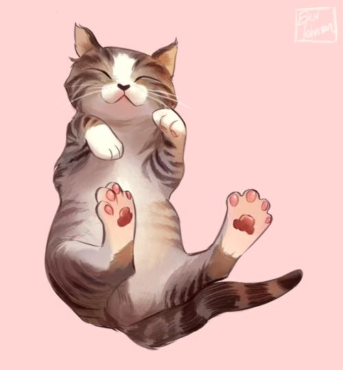 mostlycatsmostly:  bevsi: cats bevsi: cats 