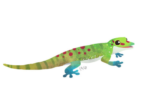 ribbitingrobots: I’ve started doing daily-ish quick studies of different reptiles! I’ve 