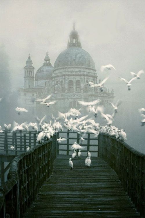 globalhumor:  Venice, Italy. 