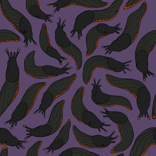 Several slug variations! :D This has been too much fun! XD soooooo many possibilities!