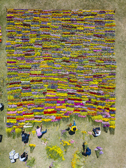 nevver:Flower arrangements, Azuma Makoto