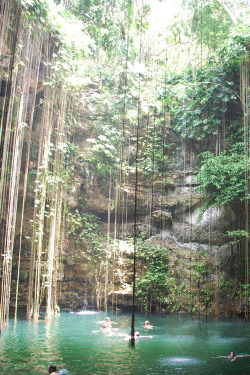 Plasmatics-Life:  Plasmatics: Cenote Lk-Kil ~ By Paulo Pereira »   