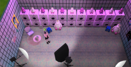 [kitty]Pink laundry roomThis is a scene for taking pictures.Furniture link included in the zip.Remem