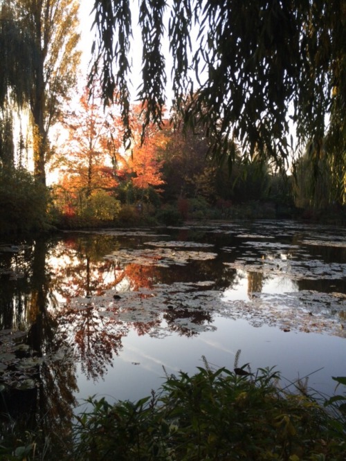 sunflowersatdawn:My uncle & his wife went to Giverny where Claude Monet’s house was and everythi