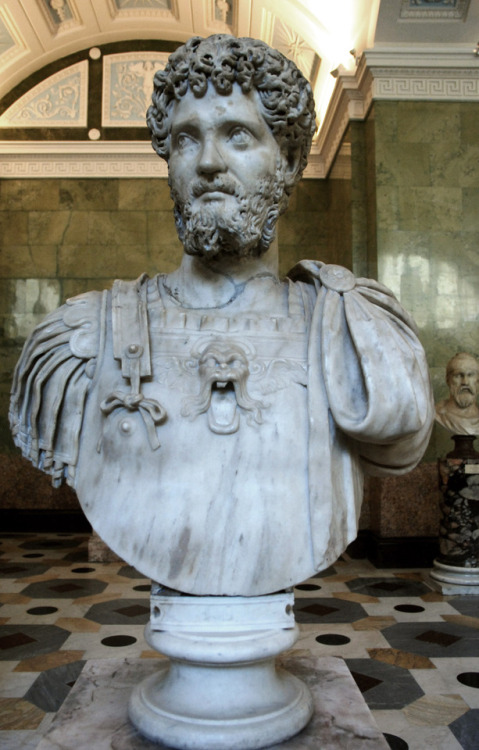 myglyptothek:Portrait of Septimius Severus. Early III century AD. Marble. State Hermitage Museum, Saint-Petersbourg. Inv. A 57
