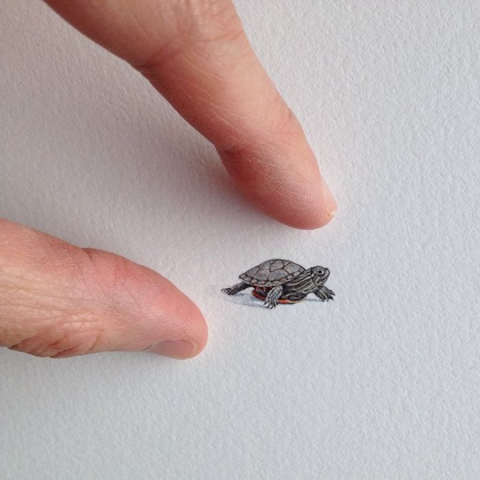 culturenlifestyle:  Adorable Miniature Illustrations by Brooke Rothshank Miniature