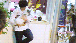 chaootic:  a duck with a dog (｡◕‿‿◕｡) 