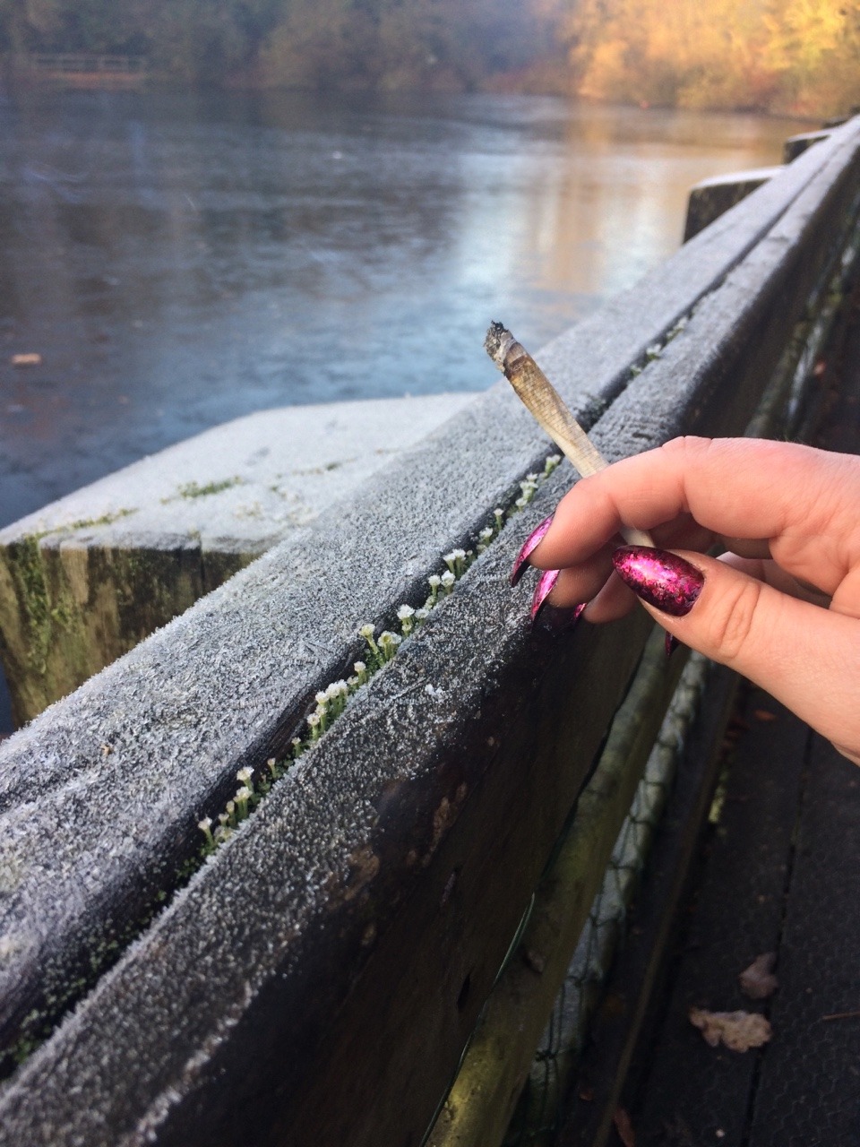 budkitten:It’s a cold one today!!