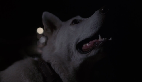 365filmsbyauroranocte