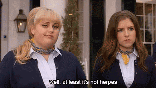 withlove-fromme:  In recent news Silas university has a case of the… harpies?