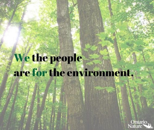 The Government of Ontario announced plans on November 15,2018 to eliminate the office of the Environ