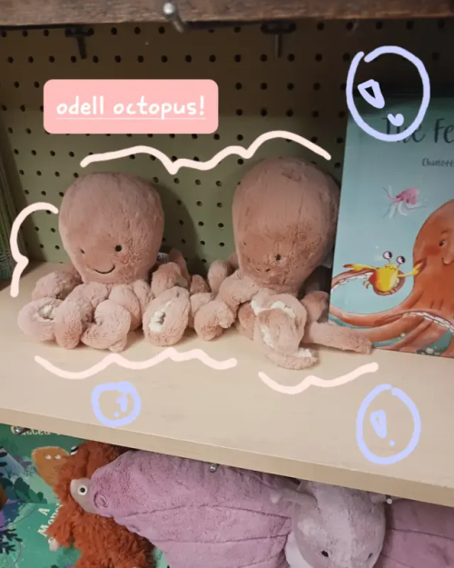 My First Jellycat Hunt/search!!