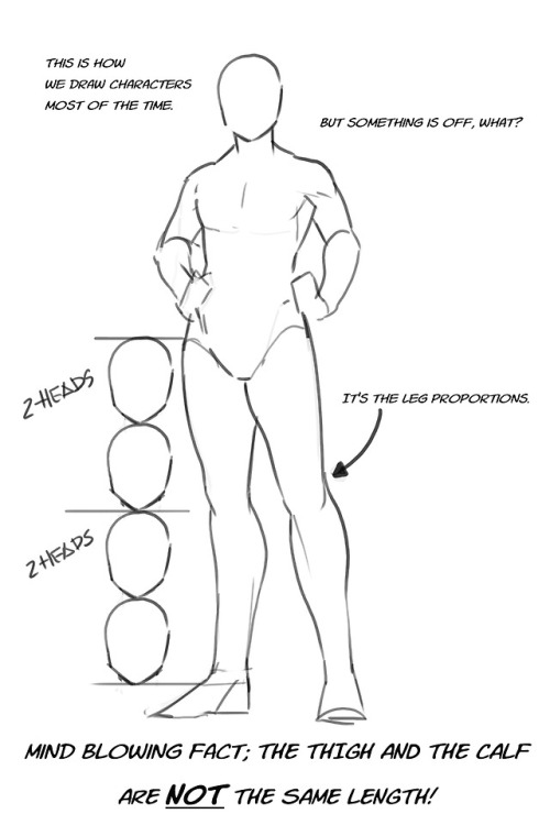 biobugluv: zolariel: Just a quick thing I put together. This blew my fucking MIND when my anatomy te