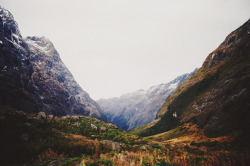 eartheld:  thefilthyyouth:  Fiordland National Park, New Zealand by Hannah Davis   mostly nature