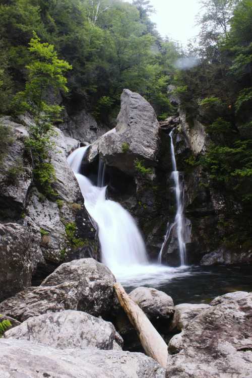 briancardinal: Bash Bish Falls