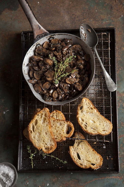 foodffs:mushroom ragout on oven baked toastReally nice recipes. Every hour.