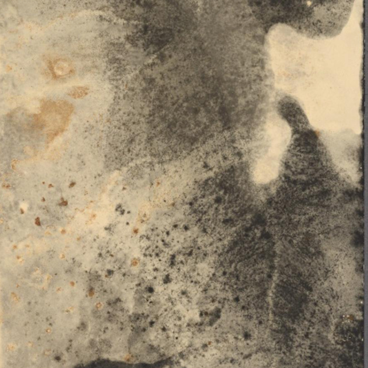 damirdoma:  Inspiration: Alison Rossiter, Eastman Kodak Canada Vitava Athena C, 2008,
