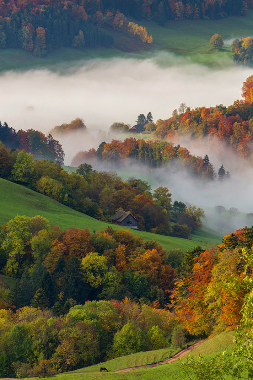 favorite-season:  Autumn Impression by  Jan adult photos