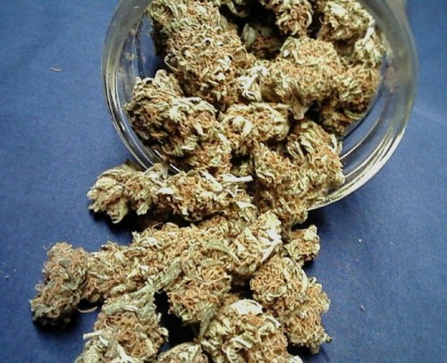 keefinupwiththejoneses:Homegrown heaven in a jar