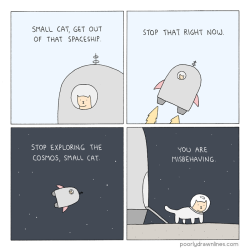 his-little-red-riding-hood:  thesethingsmayhappen:  his-little-red-riding-hood:  thesethingsmayhappen:  his-little-red-riding-hood:  thesethingsmayhappen:  This is my favourite thing. I wanna be small cat  Seb…you ARE small cat.  I WILL EXPLORE THE