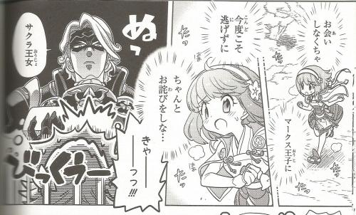 gangstapantsu: snipergys: Fire Emblem Fates Royal Family Anthology From a chapter in which Xander tr