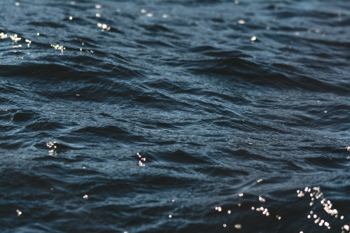 darkcoastphotography:  Wavelengths September 27, 2015 tumblr | flickr | facebook | society6 | instagram Do Not Remove My Credits 