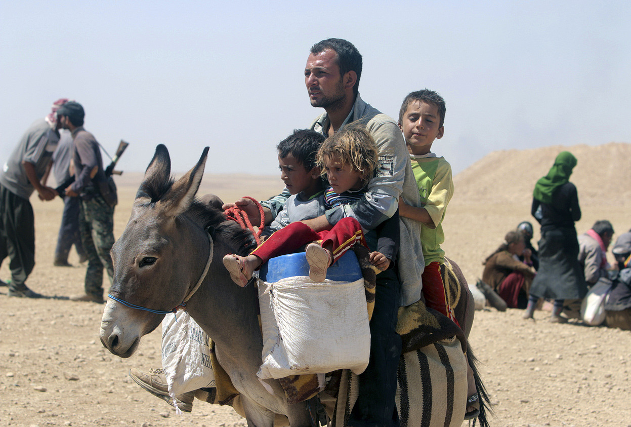 From Desperate Iraqi Minorities Flee ISIS Attacks, one of 36 photos. Displaced people from the minority Yazidi sect, fleeing violence from forces loyal to the Islamic State in Sinjar town, ride a donkey as they make their way towards the Syrian...