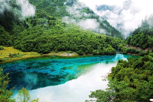 fuckyeahchinesegarden:九寨沟 (Jiuzhai Valley), Sichuan, China.