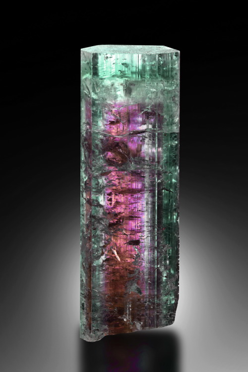 Tourmaline - Minas Gerais, Brazil