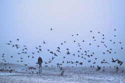 gosh:  by  Lizzy Gadd