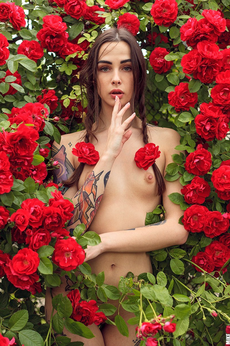 rideauxrouge:  ©Mikhail Krylov