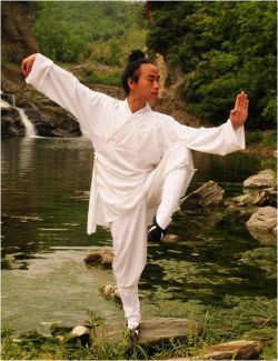the-history-of-fighting:  Tai Chi 