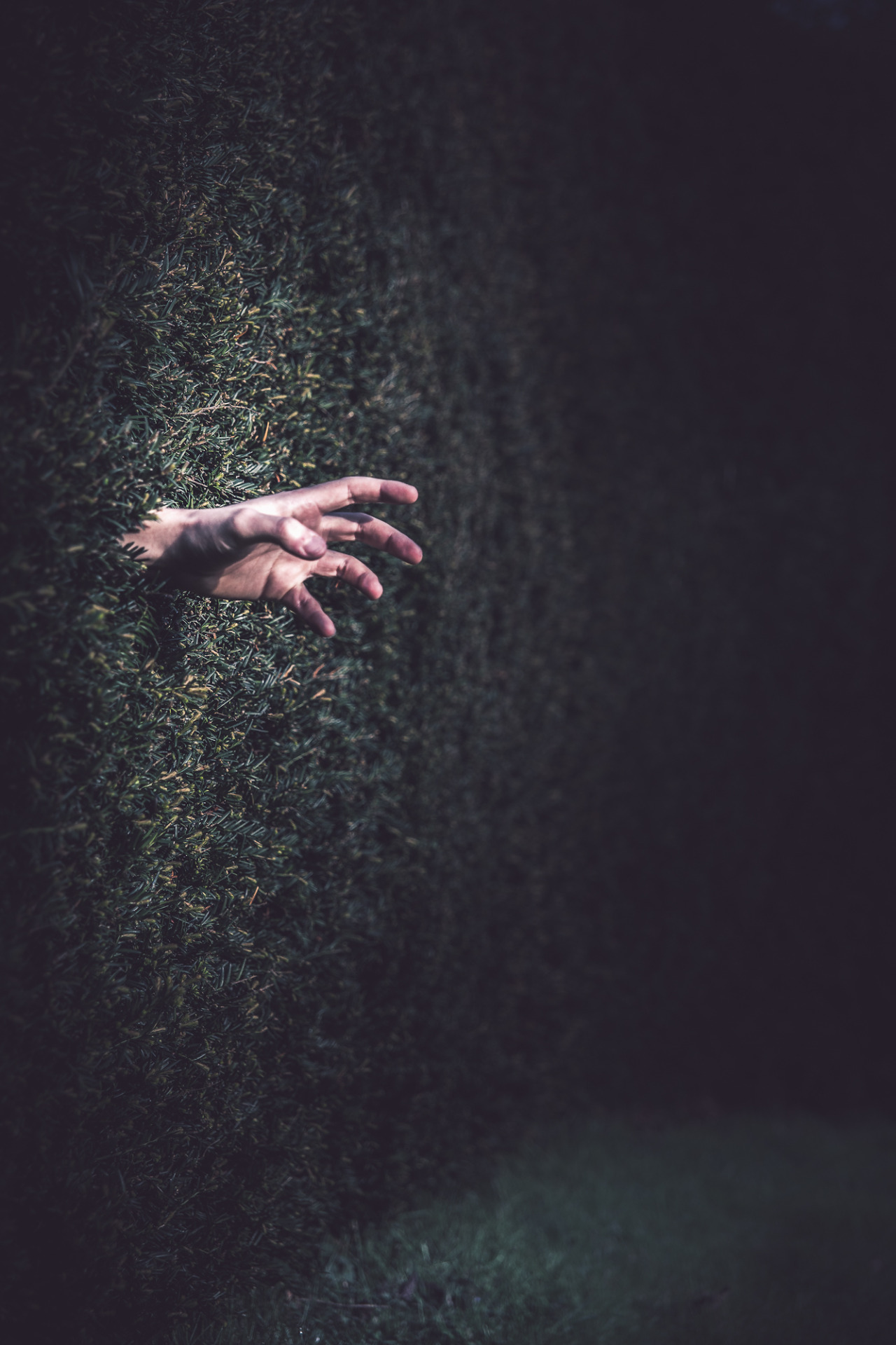 freddie-photography:  Hands of Horror Photoset Now I really am getting into a film