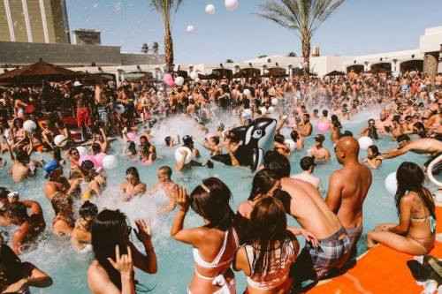i-love-summer-festivals:  Pool Party…
