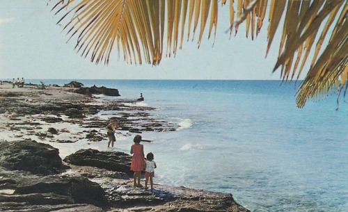 tomorrowcomesomedayblog:Cozumel, Île au Mexique