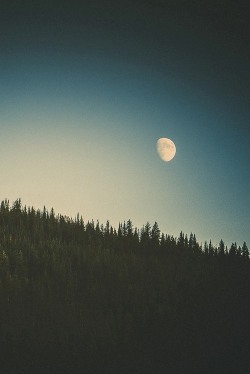 la brisa del bosque eleva mis deseos, ante la luna &hellip;