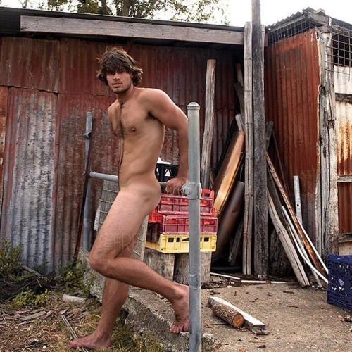 emergencyotter: Will, censored for Insta, from Paul Freeman’s book Outback Currawong Creek: 