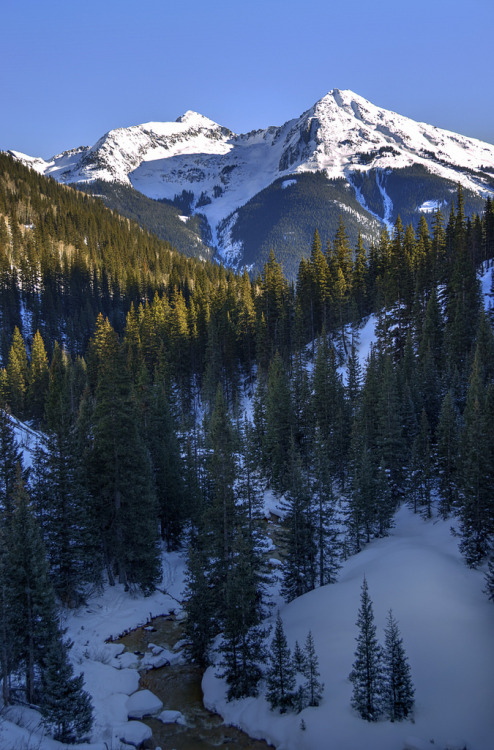 burning-soul:  maryannenelson
