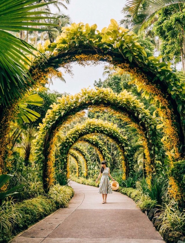 flower archway botanic garden